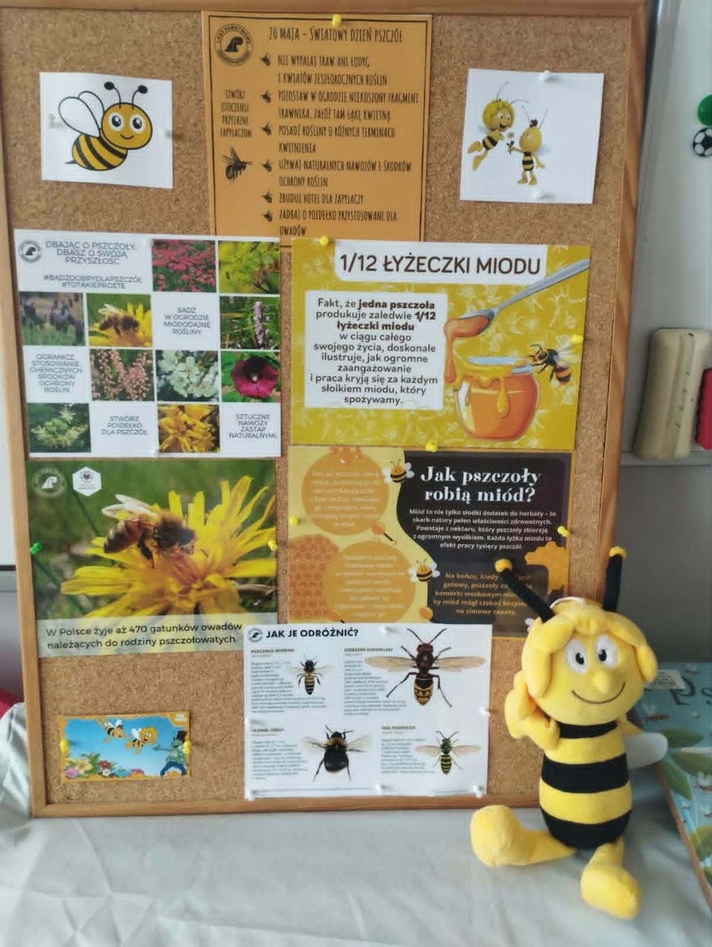 Międzynarodowy Dzień Pszczół w Bibliotece w Strzyżowicach